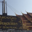 muang muang 이미지