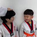 상무태권도 이미지