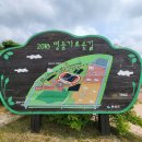 금왕읍 명품가로숲길 | 산책하기 좋은 금왕읍 명품가로수길