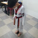 골든킥 태권도 유아체육 이미지