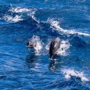 유크리에이션 이미지