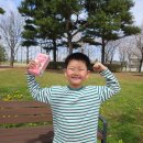 하이약국 | 초등 아이 무릎 통증 고민, 뉴트리아이 케이하이 약국영양제로 유명한 이유가 있네요!