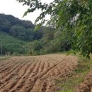 안고농장 이미지