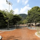 단양배드민턴장 이미지