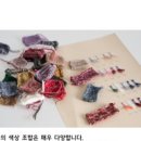 낙양모사 이미지