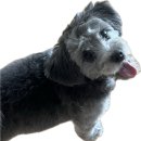 이리스안경원 | 송도안경 , 다초점렌즈 맞추러 방문한 송도안경점 &#39;이리스안경&#39; 방문후기