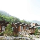 산골펜션캠핑장 이미지