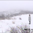 겨울연가