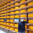 임실 | 임실치즈테마파크 실내 전시관 치즈 임실치즈농협 임실치즈 후기