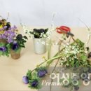 포토그래퍼김유리 이미지