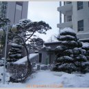 은혜병원 이미지