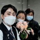 효연상조 이미지