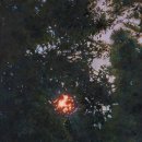 [24.07.08_전남매일] 광주 품은 무등 유토피아 이미지