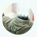 계룡로(유성온천역-만년교) 이미지