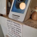 벨라스(Bellas)