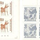 우정진도개 이미지