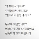울릉도드림