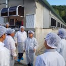 거농농장 이미지