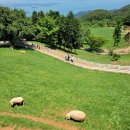 두곡목장 이미지