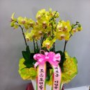 송현현대자동차