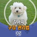 Dr.오즈동물병원 이미지