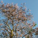 남악사지 이미지