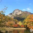 장성 Daum카페