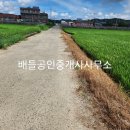 금성면복지회관 이미지