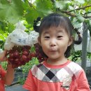 오하농장 이미지