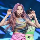 퍼플케이(purple k) 이미지