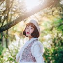 비자림의아침