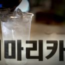 신가네김밥 네이버블로그