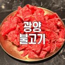 광양 참 숯불고기 | 가산디지털단지 한우 투뿔 맛집 광양 숯불고기 후기