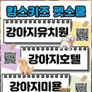 개린이집 이미지