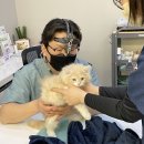 금천동물병원 이미지
