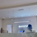 로즈앤의원 | 제주여의사 노형산부인과 “로즈앤의원”초음파/혈액검사 솔직 후기