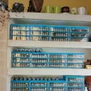 스타안경원 이미지