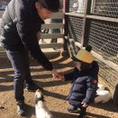 세준농장 이미지