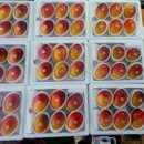 자래리농장 이미지