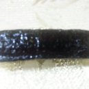 쏙쏙꼬마김밥 이미지