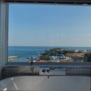 스테이마레 이미지