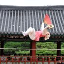 공중제비 이미지