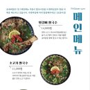 포에버얌(PHOever Yum) 이미지