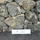 더들집 | 제주도 숙소 더들집 오름방 후기!! 제주도 숙소 추천