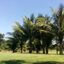 파라다이스골프장 이미지