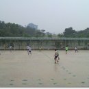 오목초교 이미지