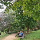 상암월드컵경기장 옆 메타세쿼이아 길을 다녀왔어요 이미지