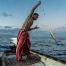 Luminous value 이미지