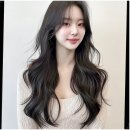 토리헤어 - 서귀포시 일주동로 8572 | 토리헤어