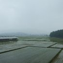 청용 낚시터 이미지